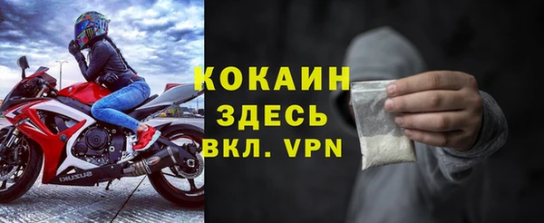 дживик Алексин