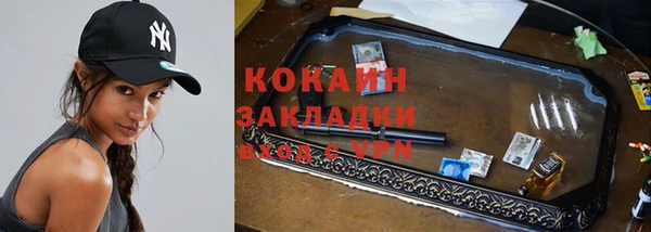 дживик Алексин