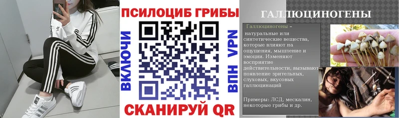 даркнет сайт  нарко площадка официальный сайт  Галлюциногенные грибы Psilocybe  Геленджик 