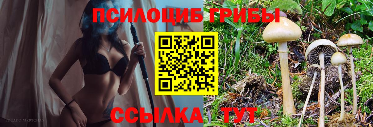 Псилоцибиновые грибы прущие грибы Геленджик