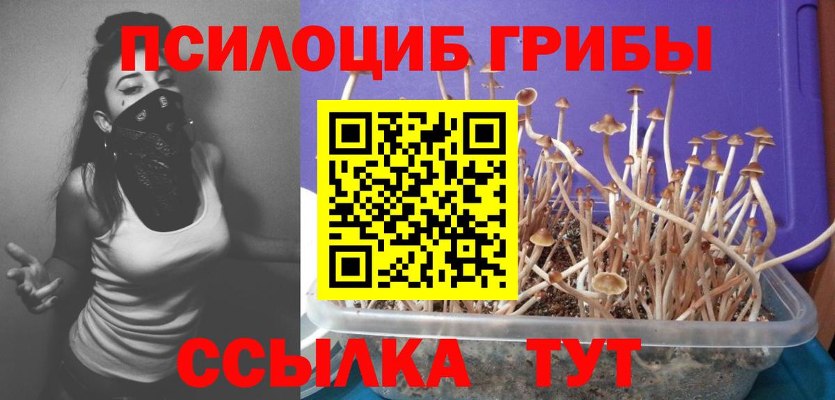 Геленджик  Псилоцибиновые грибы прущие грибы  Вход с VPN 